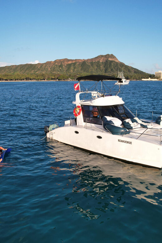 Waikiki: Sea Turtle Snorkeling, Small Group Boat Tour - Final Thoughts: Who Should Consider This Tour?
