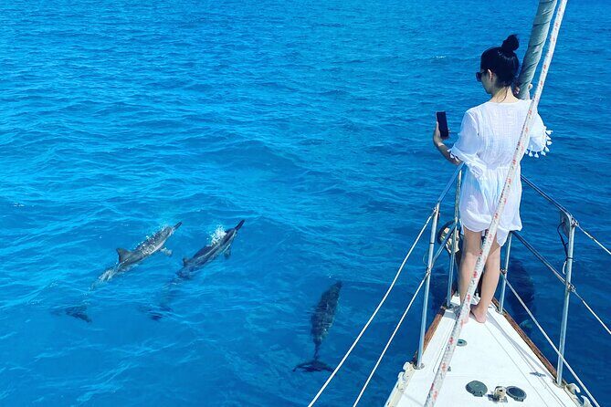 Waikiki small group turtle snorkeling & sailing - Why This Tour Stands Out