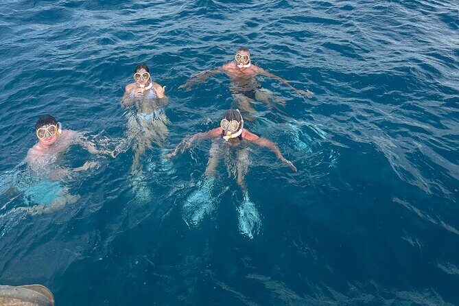 Waikiki small group turtle snorkeling & sailing - Key Points