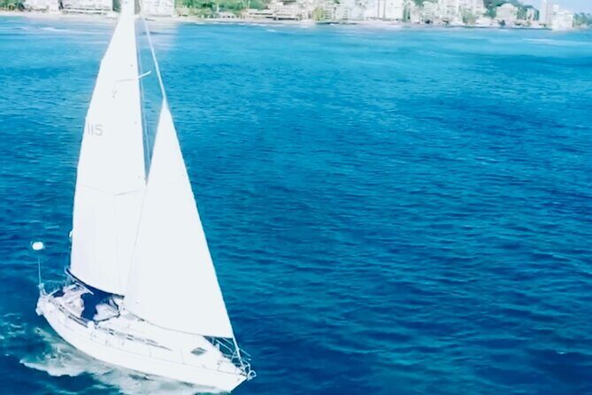 Waikiki small group turtle snorkeling & sailing - Deep Dive: Why This Experience Matters