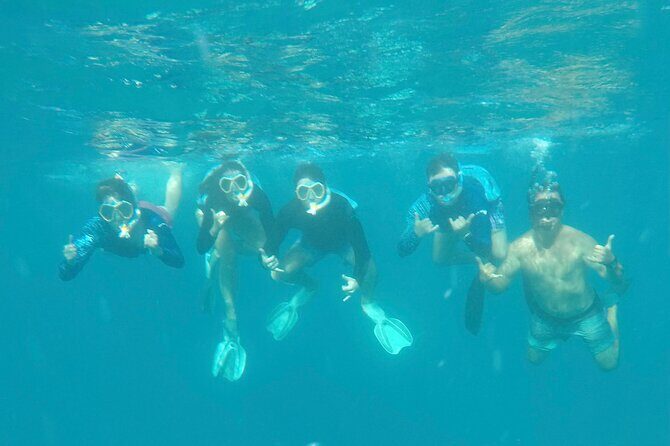 Waikiki small group turtle snorkeling & sailing - FAQ