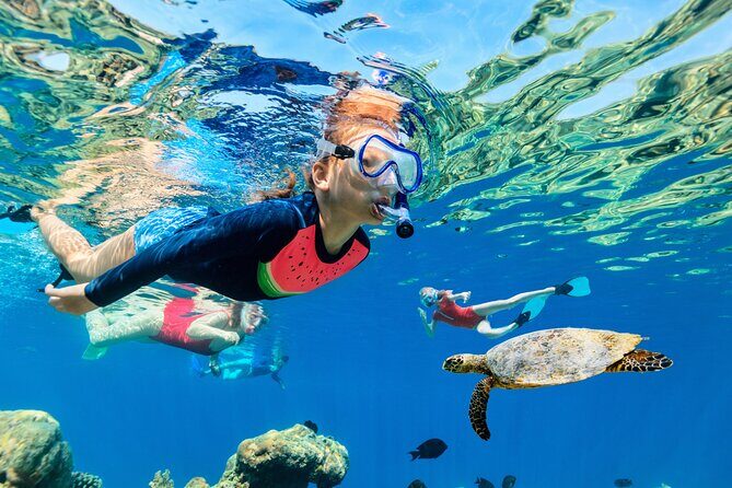 Waikiki Snorkel & Ocean Waterpark Experience - Key Points