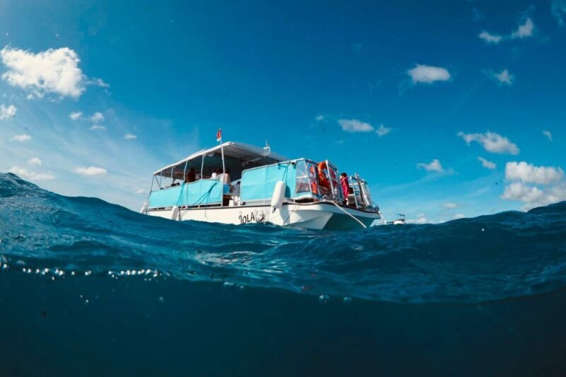 Waikiki: Snorkel Tour with Hawaiian Green Sea Turtles - An In-Depth Look at the Waikiki Snorkel Tour