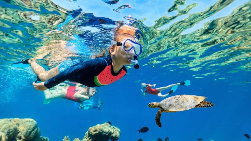 Waikiki: Snorkeling & Ocean Playground Experience - Who Will Love This Tour?