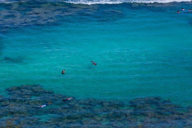 Waikiki Trolley Hop-On Hop-Off Tour of Honolulu - What the Tour Covers