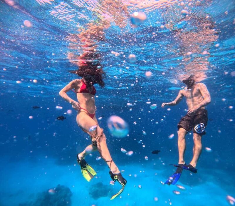 Waikiki: Turtle Canyon Snorkeling Boat Tour (Only 16 people) - Who Would Enjoy This Tour Most?