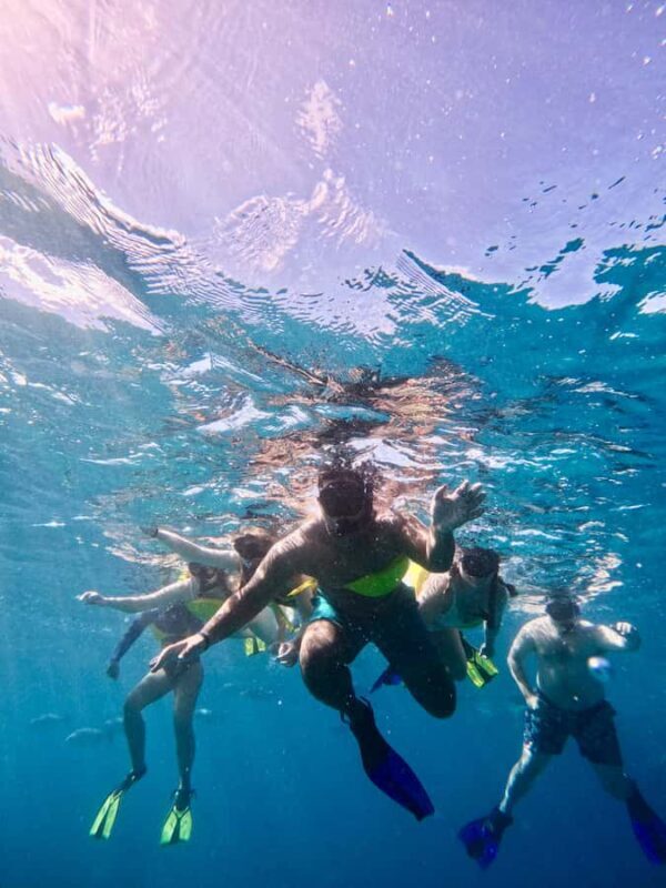 Waikiki: Turtle Canyon Snorkeling Boat Tour (Only 16 people) - The Sum Up