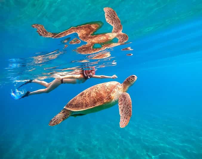 Waikiki: Turtle Snorkeling Cruise with 20ft Jumping Platform - FAQ