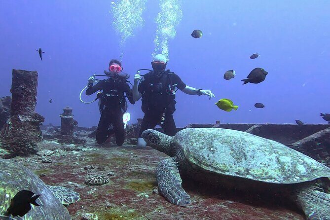 Waikiki Two Tank Guided Scuba Diving Adventure: Certified Diver - Price & Value