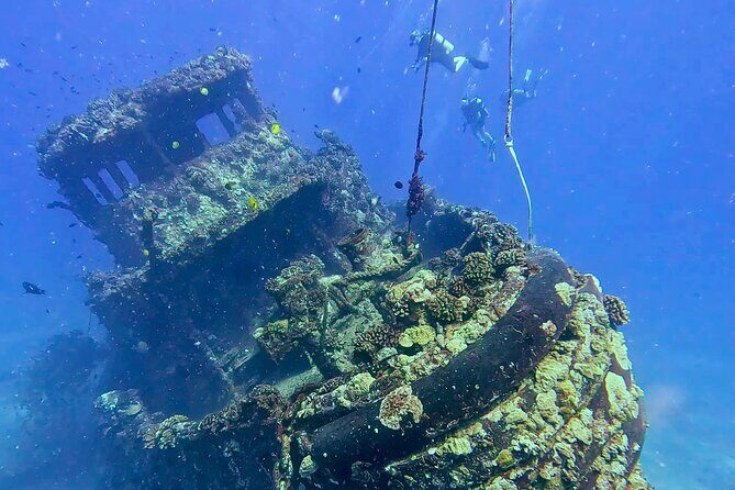 Waikiki Two Tank Guided Scuba Diving Adventure: Certified Diver - The Sum Up