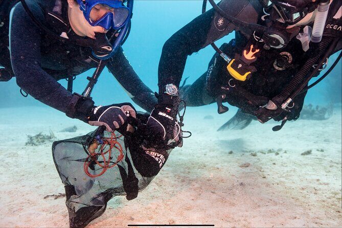 Waikikis Best Wreck And Reef Dive - Frequently Asked Questions