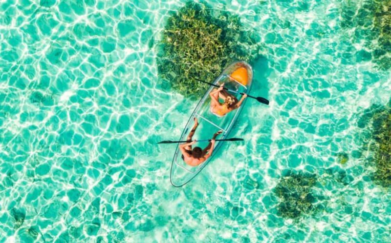 Waikk: Clear Kayak Rental with Safety Gear - Key Points