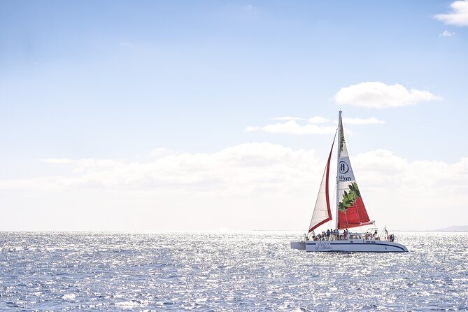 Waikoloa Turtle Catamaran Snorkel Sail - Experience the Waikoloa Turtle Catamaran Snorkel Sail