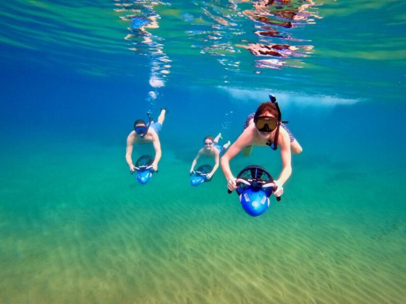 Wailea Beach: Guided Sea Scooter Snorkeling Tour - The Reefs and Marine Encounters