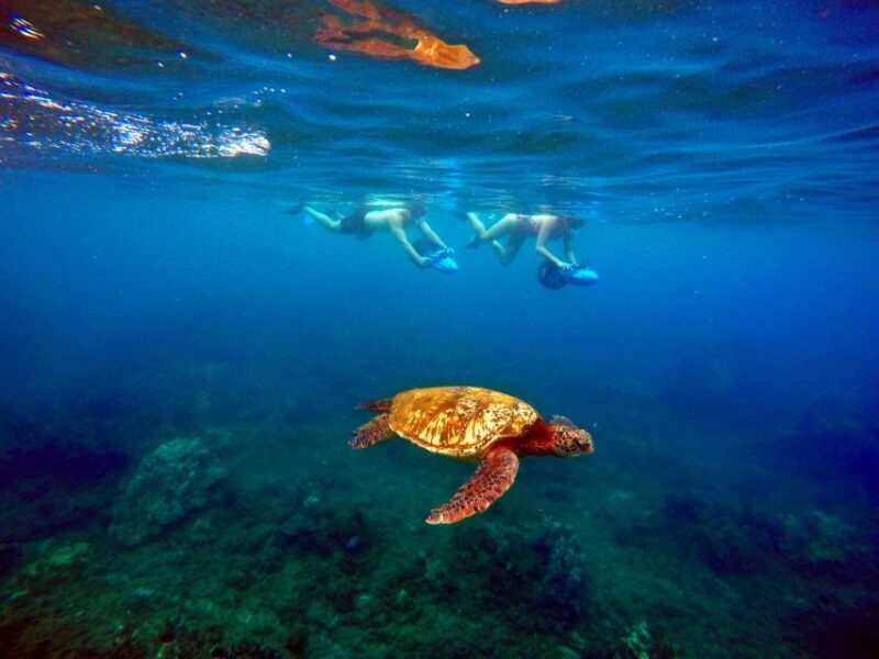 Wailea Beach: Guided Sea Scooter Snorkeling Tour - Price and Value