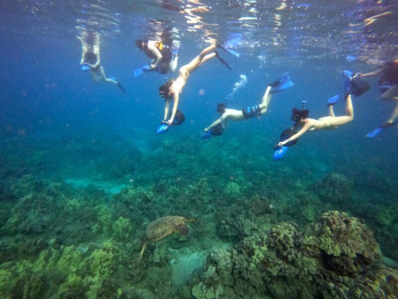 Wailea Beach: Guided Sea Scooter Snorkeling Tour - Who Will Love This Tour?