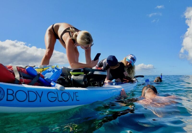 Wailea Beach: Snorkeling for Non-Swimmers Guided Tour - Discovering Hawaii’s Marine Treasure with Confidence