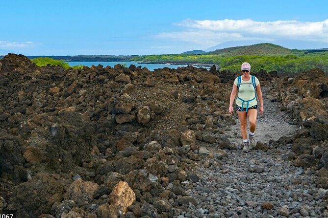Wailea Wildlife Tour with Snorkeling - Final Thoughts