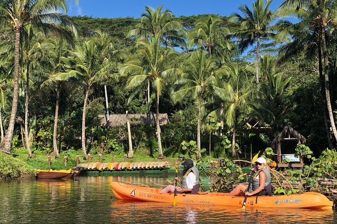 Wailua River & Waterfalls Kayak Tour: Expert-Guided Adventure - The Experience in Detail