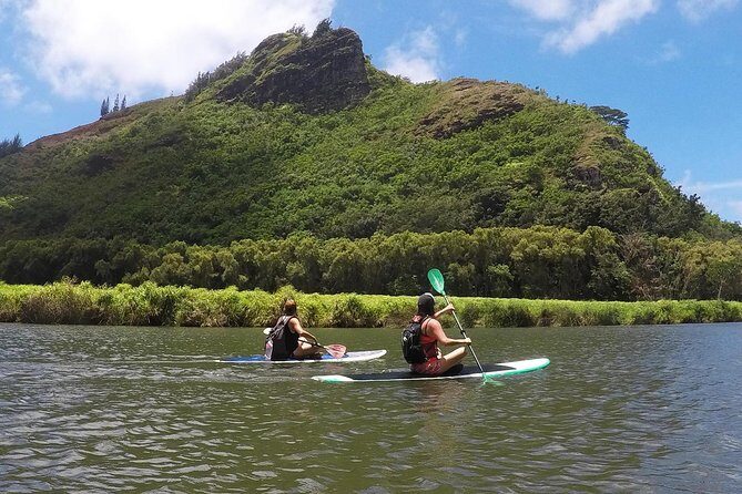 Wailua River & Waterfalls Kayak Tour: Expert-Guided Adventure - Practical Considerations