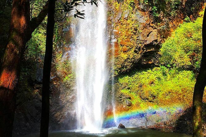 Wailua River & Waterfalls Kayak Tour: Expert-Guided Adventure - The Sum Up: Who Is This Tour Best For?