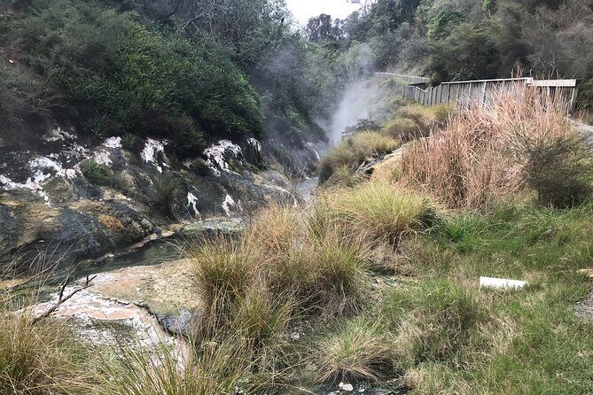 Waimangu Geothermal Valley & Lake Rotomahana Tour  7hrs - Waimangu Geothermal Valley & Lake Rotomahana Tour: A Full-Day Exploration of New Zealand’s Youngest Geothermal Marvels