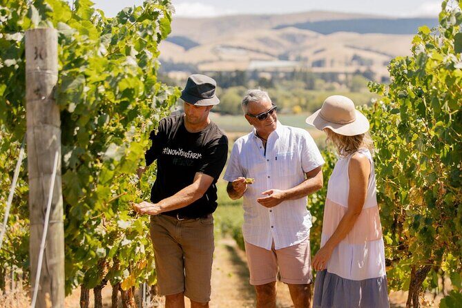 Waipara Valley Wine Region and Hanmer Springs All Day Tour - Hanmer Springs: A Place of Pure Relaxation