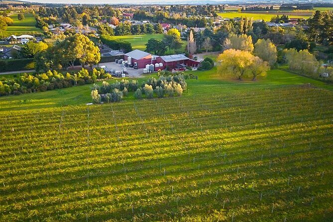 Waipara Valley Winery Tour Wine Tastings and Scenic Views - Who Should Consider This Tour?