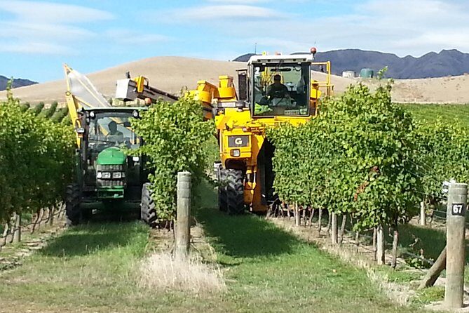Waipara Wine Tour from Christchurch - including Lunch & Tastings - Practical Tips for Your Wine Day