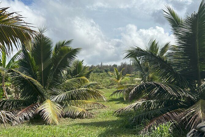 Waipio on Horseback: Mountain Ocean Views Working Cattle Ranch - The Sum Up: Who Should Consider This Tour?