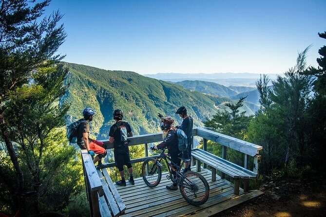 Wairoa Gorge MTB Park Private Shuttle Day - Exploring Wairoa Gorge with Gravity Nelson