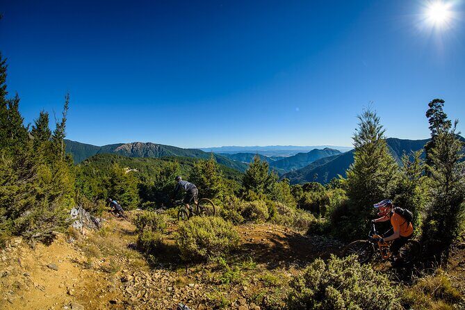 Wairoa Gorge MTB Park Private Shuttle Day - What’s Included & What to Bring
