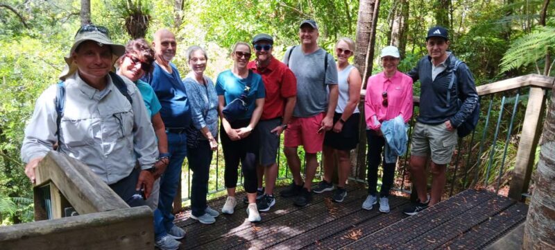 Waitangi: Kawiti Glow Worm Cave & Opua Kauri Forest Walk - Final Thoughts