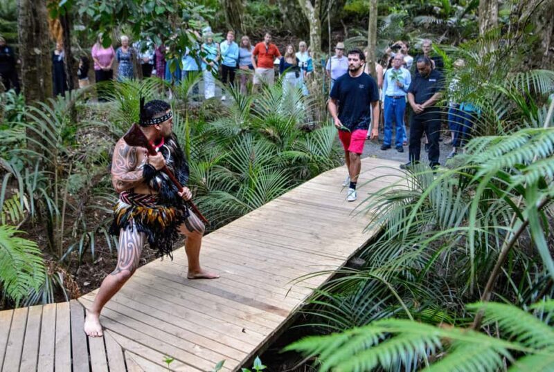 Waitangi: Treaty Grounds Hng and Concert Combo Pass - A Deep Dive into the Waitangi Treaty Grounds Hangi and Concert Combo