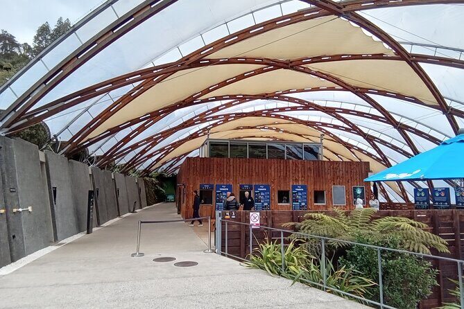 Waitomo Cave and Hobbiton Village Full Day Tour - A Full Day of Kiwi Wonders: Waitomo Caves and Hobbiton Village
