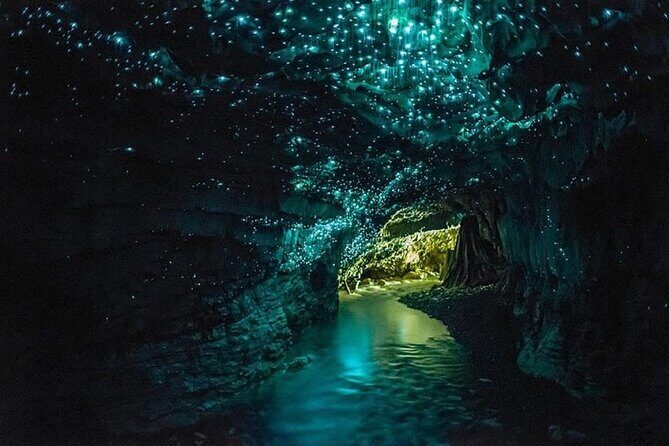 Waitomo Cave and Hobbiton Village Full Day Tour - Exploring the Itinerary: What You Can Expect