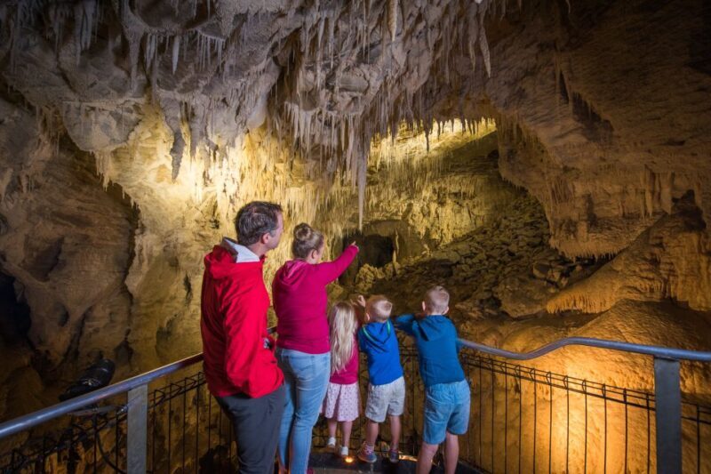 Waitomo Caves: Ruakuri Cave 1.5 Hour Guided Tour - Discovering the Ruakuri Cave: A Walk through Waitomo’s Longest Guided Underground Journey