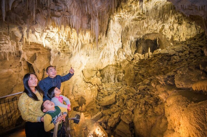 Waitomo Caves: Ruakuri Cave 1.5 Hour Guided Tour - The Experience and Its Value