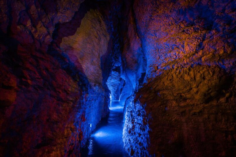 Waitomo Caves: Ruakuri Cave 1.5 Hour Guided Tour - Who Will Love This Tour?