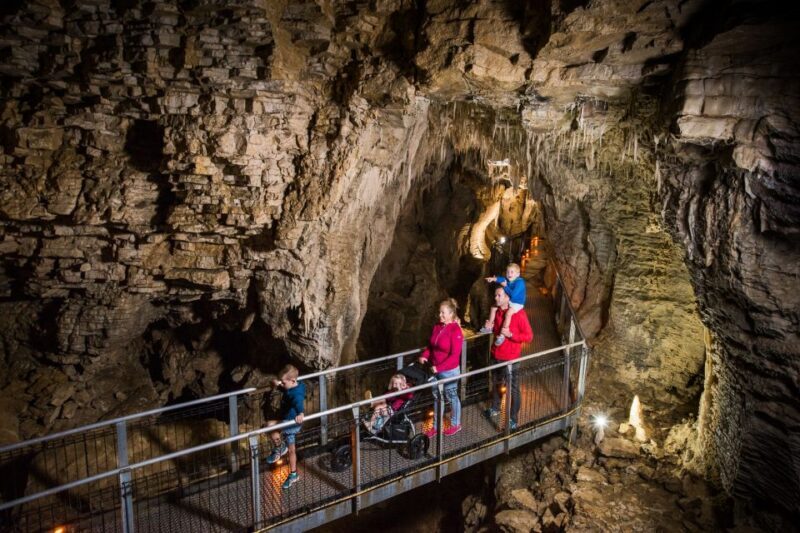 Waitomo Caves: Ruakuri Cave 1.5 Hour Guided Tour - The Sum Up