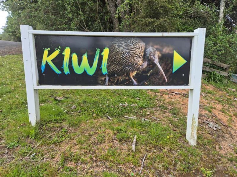 Waitomo: Caves to Kiwis eBike ride - FAQ