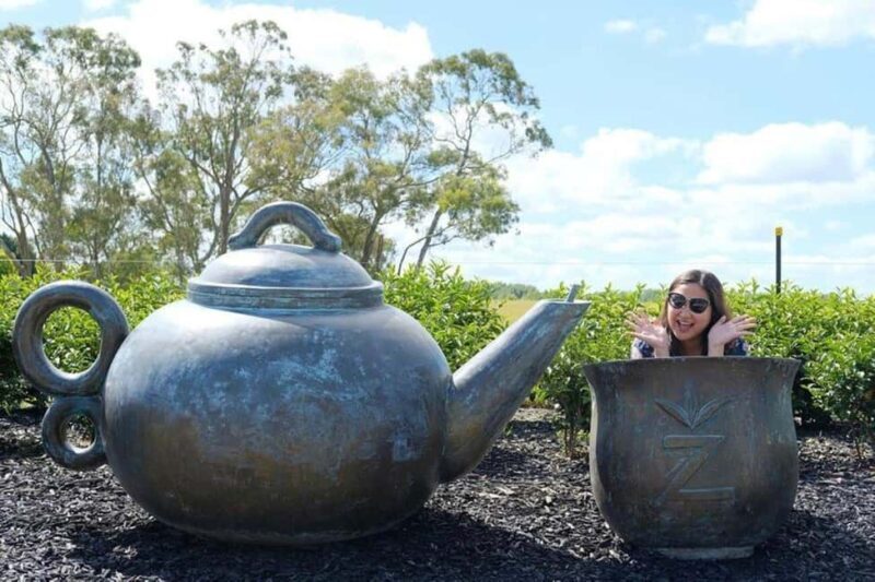 Waitomo Caves, Zealong Tea & Kiwi House Private Tour - FAQs