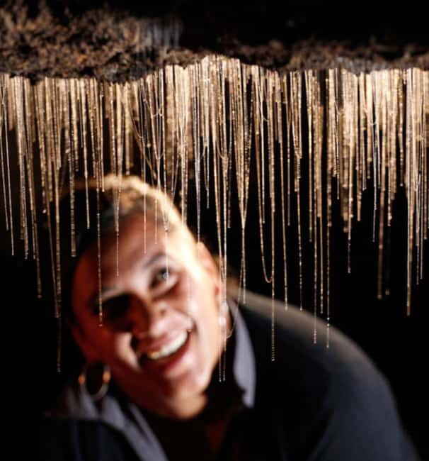 Waitomo Caves, Zealong Tea & Kiwi House Private Tour - Final Thoughts