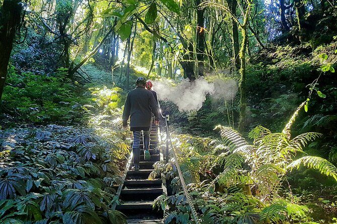 Waitomo - Eco Adventure Glowworm Cave Tour - Off the Beaten Track - The Experience and Location