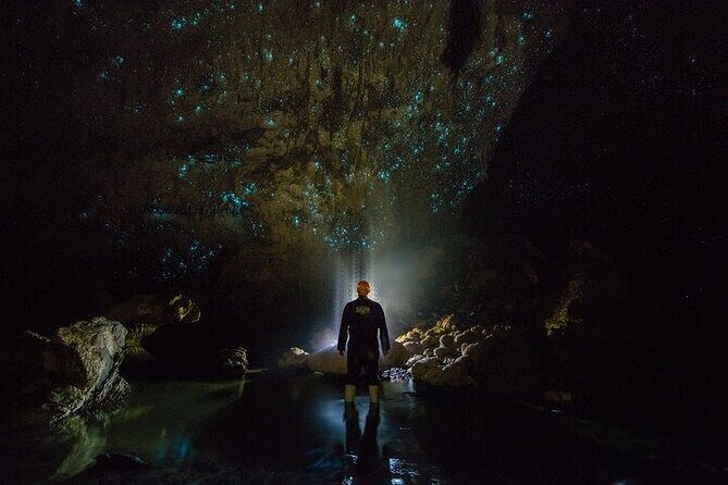 Waitomo Glow Worm Caves - Discovering the Waitomo Glow Worm Caves: An Authentic New Zealand Adventure