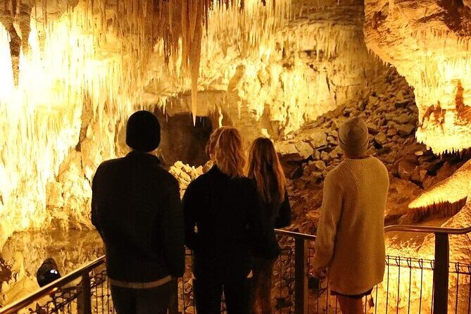 Waitomo Glow Worm Caves - Analyzing the Value