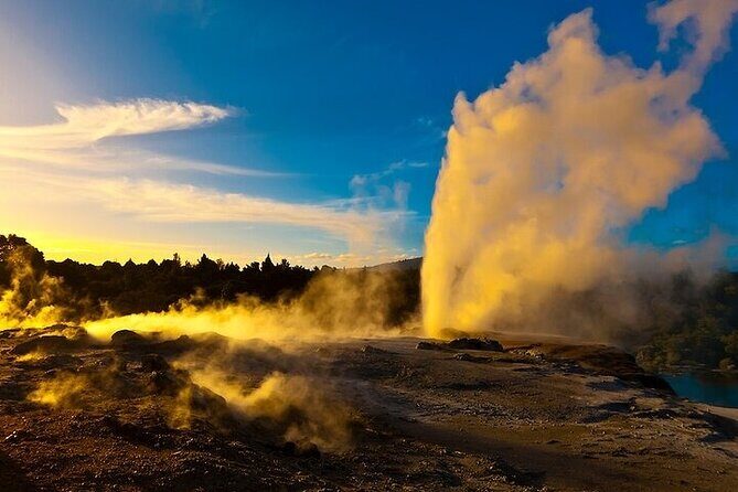 Waitomo Glow Worm Caves & Te Puia (Rotorua) Private Tour - Who Should Consider This Tour?