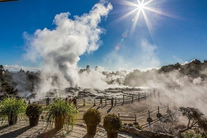 Waitomo Glow Worm Caves & Te Puia - Rotorua's Geothermal Valley - An Authentic Day Exploring New Zealand’s Natural Wonders
