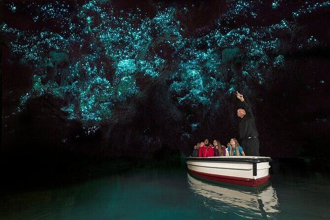 Waitomo Glow Worm Caves & Te Puia - Rotorua's Geothermal Valley - Who Would Love This Tour?
