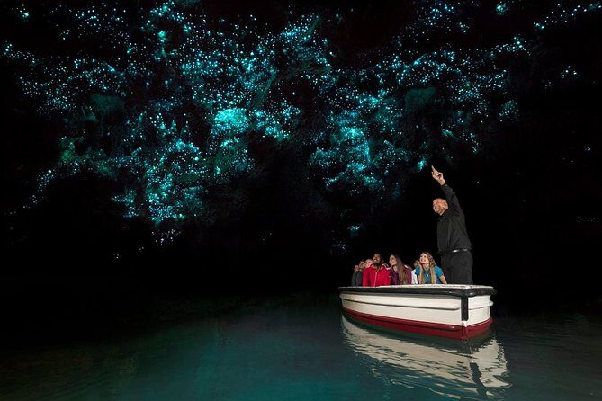 Waitomo Glowworm Caves Guided Tour - Why This Tour is a Great Choice